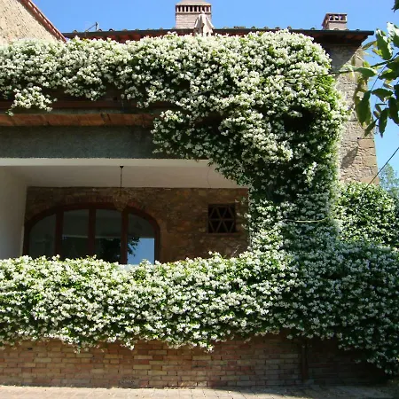 Al Gelso Bianco