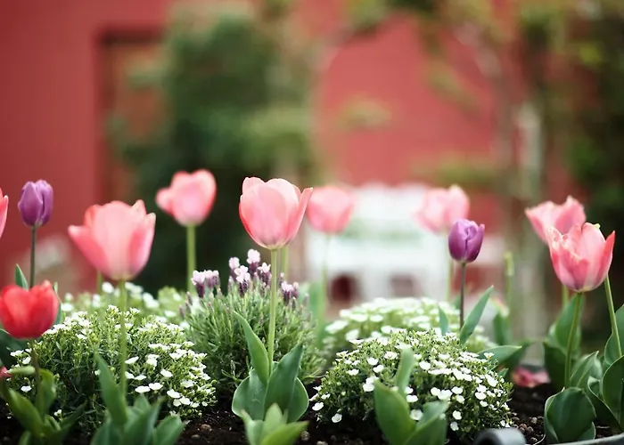 アパートホテル Al Gelso Bianco SantʼAppiano